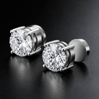 FizNow™ Magnetic Stud Earrings